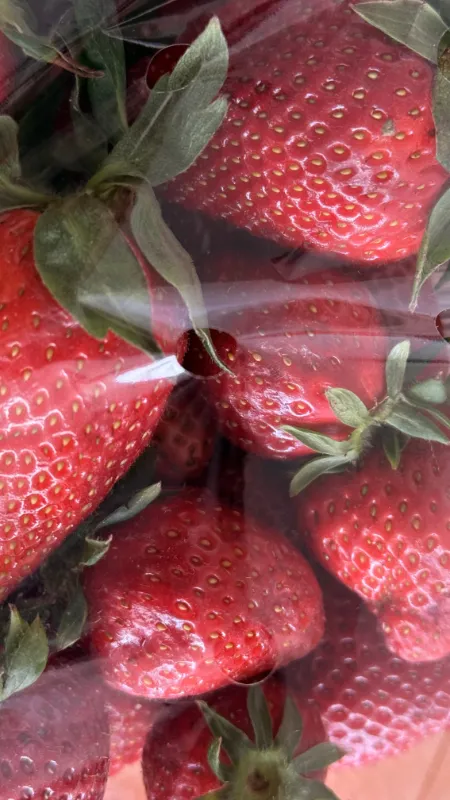 Makroperforierte Folie bei Erdbeeren
